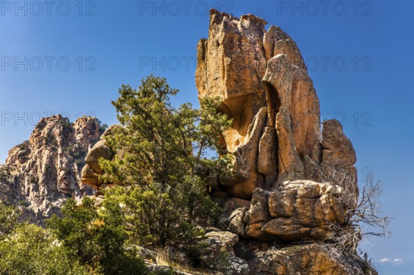 Calanche, bizarre rock formations 400 m above sea level, UNESCO World Heritage Site, Corsica, Piana, Corsica, France