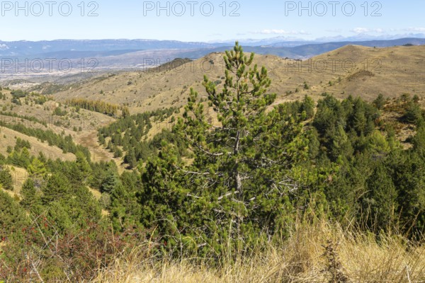 Countryside landscape view from Puerto de Sos hills south of Sos del Rey Catolico, Cinco Villas district, Zaragoza province, Aragon, Spain