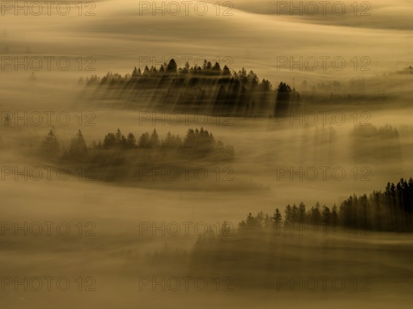 Fog, clouds of fog, trees, back light, sunrise, aerial view, Loisach-Lake Kochel-Moore, Upper Bavaria, Bavaria, Germany