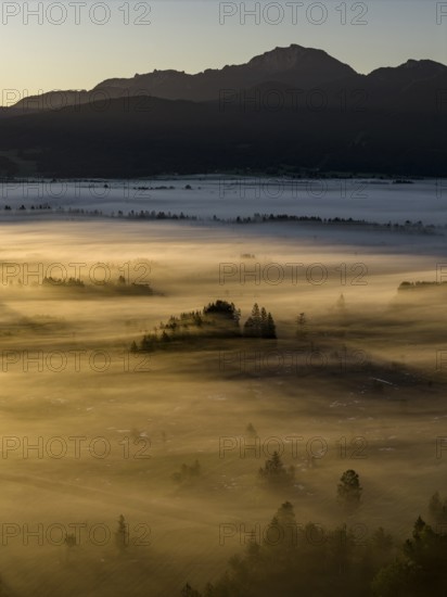 Fog, clouds of fog, trees, back light, sunrise, mountains, aerial view, Loisach-Lake Kochel-Moore, Upper Bavaria, Bavaria, Germany