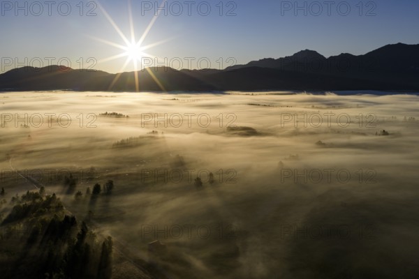 Fog, clouds of fog, trees, back light, sunrise, mountains, aerial view, Loisach-Lake Kochel-Moore, Upper Bavaria, Bavaria, Germany