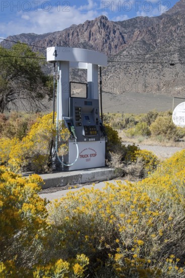 Carvers, Nevada - Rabbitbrush takes over an abandoned gas station in the Nevada desert