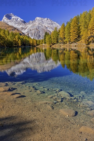 Mountain lake, reflection, mountains, larch forest, autumn discoloration, autumn, sunny, Lake Palpuogna, Engadin, Switzerland