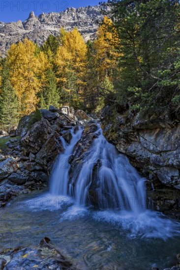 Waterfall, river, larch forest, autumn color, autumn, mountains, morning light, Morteratsch Valley, Engadin, Switzerland