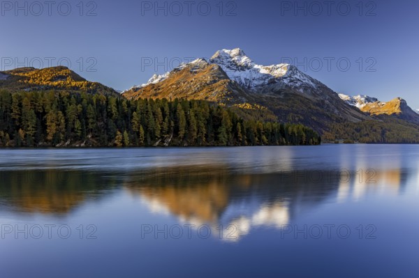 Mountain lake, reflection, mountains, larch forest, autumn discoloration, autumn, sunrise, Lake Sils, Engadin, Switzerland