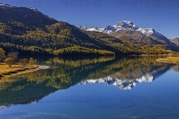 Mountain lake, reflection, mountains, larch forest, autumn discoloration, autumn, sunny, Silvaplana, Engadin, Switzerland