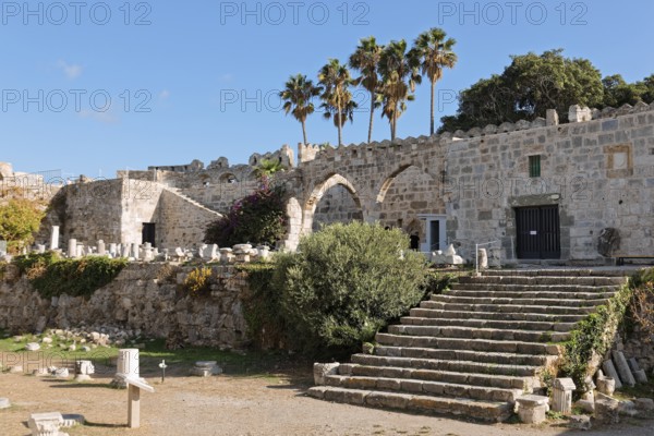 Entrance, staircase, palm trees, fragments from Roman times, olive tree, Neratzia fortress, also Nerantzia, castle, first mentioned in 1395, former fortress of the Order of St. John, today ruin, city of Kos, island of Kos, Dodecanese islands, Greece, eastern Adriatic, Mediterranean