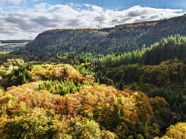 Autumn colours over Gwydir Forest Park from a drone, Afon Lledr, Road A470, Snowdonia, Eryri, Wales, England, United Kingdom
