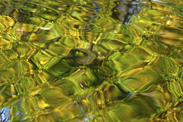 Trees in autumn are picturesquely reflected in a lake, Germany