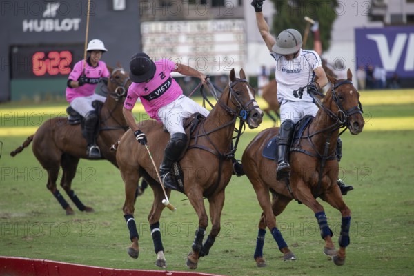 Scene at the 132nd Argentinean Open Polo Championship (Spanish Campeonato Argentino Abierto de Polo), player Gonzalo Ferrari from Team La Dolfina II and Facundo Pieres from Team Ellerstina Indios Chapaleufú Vista fight for the ball, Buenos Aires, Argentina