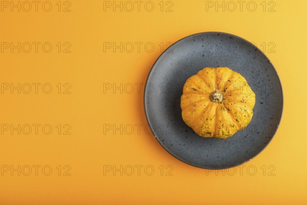 Orange Pumpkin on blue plate on orange pastel paper background. Top view, copy space, flat lay. healthy food, vegetable, minimalism, contrast