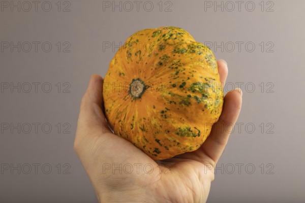 Orange Pumpkin with hand on gray pastel paper background. Side view, healthy food, vegetable, minimalism