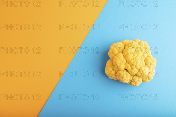 Yellow Cauliflower on blue and orange pastel paper background. Top view, flat lay, copy space. healthy food, vegetable, minimalism