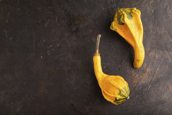 Two decorative orange Pumpkins on black concrete background, top view, flat lay, copy space, minimalism