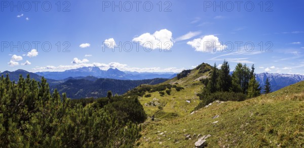 Hiking trail to Egelseehörndl, Postalm, Osterhorn Group, Salzkammergut, Province of Salzburg, Austria