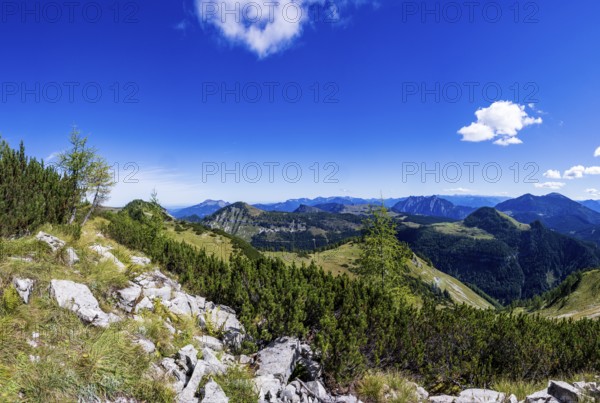 View from Egelseehörndl into the Osterhorn Group, Postalm, Salzkammergut, Province of Salzburg, Austria