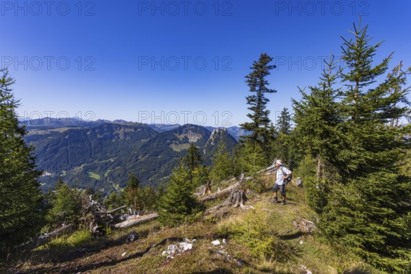 Hikers on the way to Rettenkogel, Postalm, Osterhorn Group, Salzkammergut, Province of Salzburg, Austria
