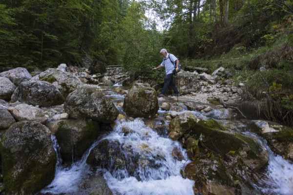 Hikers on the way to Rettenkogel and Bergwerkskogel, Schöffaubach, Postalm, Osterhorn Group, Salzkammergut, Province of Salzburg, Austria