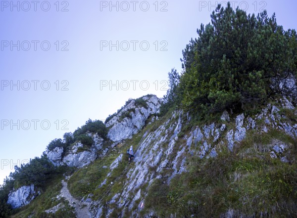 Hikers at the Iron Ladder on the way to Rettenkogel, Postalm, Osterhorn Group, Salzkammergut, Province of Salzburg, Austria
