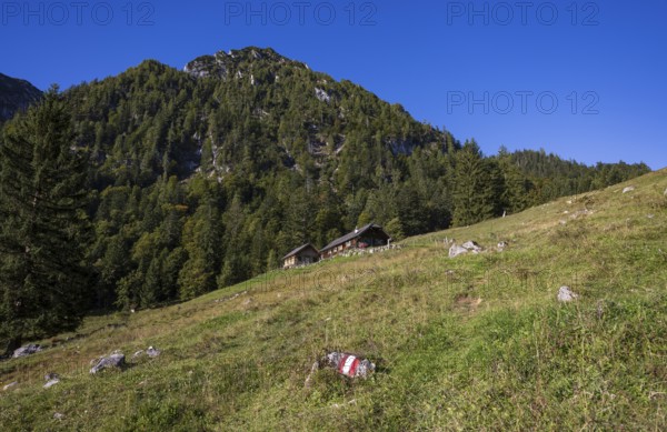 Sonntagskaralm on the way to Rettenkogel, Strobl, Postalm, Osterhorn Group, Salzkammergut, Province of Salzburg, Austria
