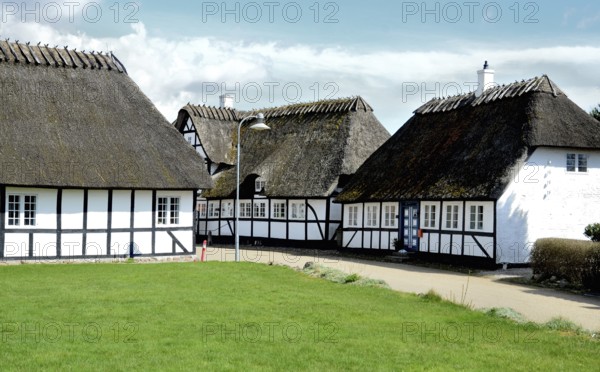 Typical half-timbered house with thatched roof by lawn on Funen, Fyn island, Denmark, Scandinavia