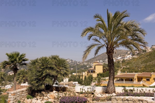 Mediterranean landscape, palm trees, buildings, Moraira, former fishing village, pearl of the Costa Blanca, Valencia, Spain