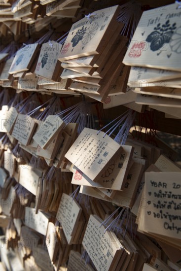 Ema, small wooden tablets with wishes and prayers, hung so that the Kami spirits or gods can receive them, Meiji Jingu, Meiji Shrine, Shinto Shrine, Yoyogi Park, Shibuya, Tokyo