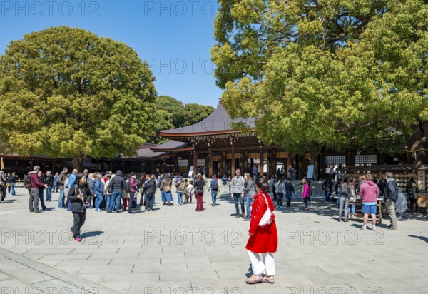 Meiji Jingu, Meiji Shrine, Shinto Shrine, Yoyogi Park, Shibuya, Tokyo