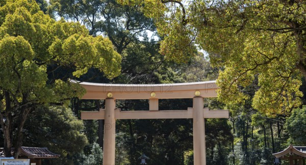 Meiji Jingu Sanno Torii at the entrance to Meiji Jingu, Meiji Shrine, Shinto Shrine, Yoyogi Park, Shibuya, Tokyo
