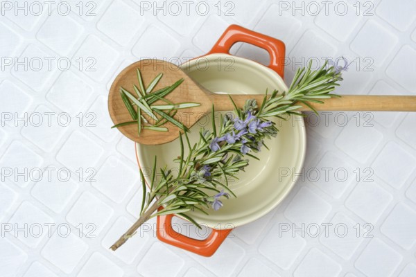 Rosemary, rosemary sprig on cooking spoon with cooking pot