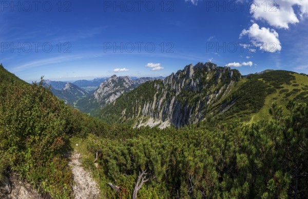 Hiking trail to Braunedlkogel with views to Scharfen and Rinnkogel, Postalm, Osterhorn Group, Salzkammergut, State of Salzburg, Austria