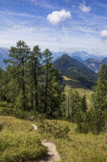 Hiking trail on the Braunedlkogel, Postalm, Osterhorn Group, Salzkammergut, Province of Salzburg, Austria