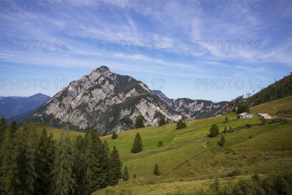 Alpine meadow with Rettenegghütte and Rinnkogel, Postalm, Osterhorn Group, Salzkammergut, Province of Salzburg, Austria