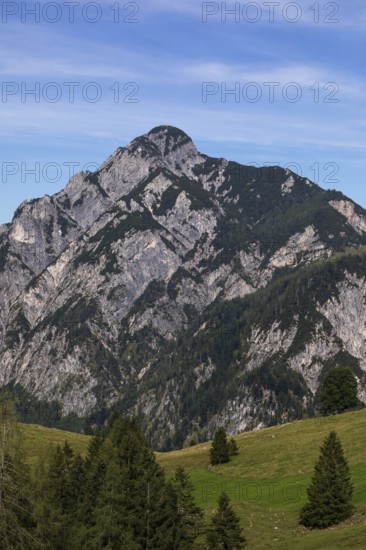 Alpine meadow with a view of the Rinnkogel, Postalm, Osterhorn Group, Salzkammergut, Province of Salzburg, Austria