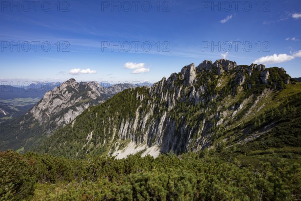 View from Braunedlkogel to Scharfen and Rinnkogel, Postalm, Osterhorn Group, Salzkammergut, Province of Salzburg, Austria