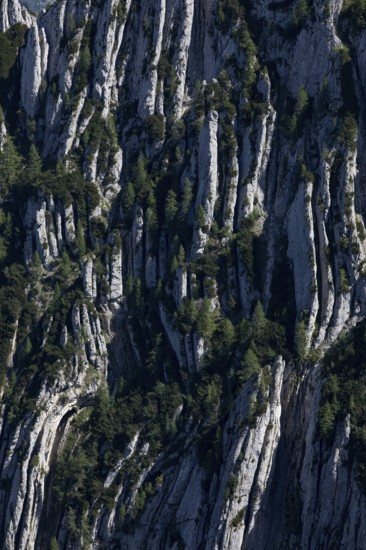 Rock formation on Scharfen, Postalm, Osterhorn Group, Salzkammergut, Province of Salzburg, Austria