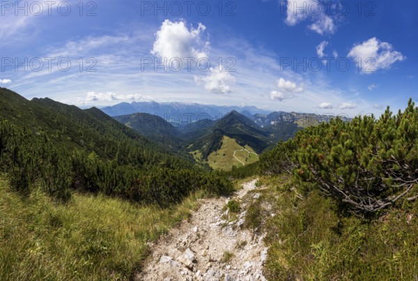 Hiking trail on the Braunedlkogel, Postalm, Osterhorn Group, Salzkammergut, Province of Salzburg, Austria