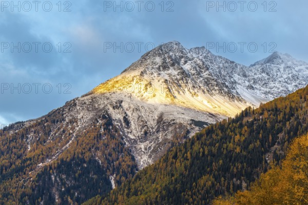 Mixed forest with larch trees (Larix) in autumn, mountain peaks with snow, autumn, Piz Chaste, Guarda, Engadin, Grisons, Switzerland