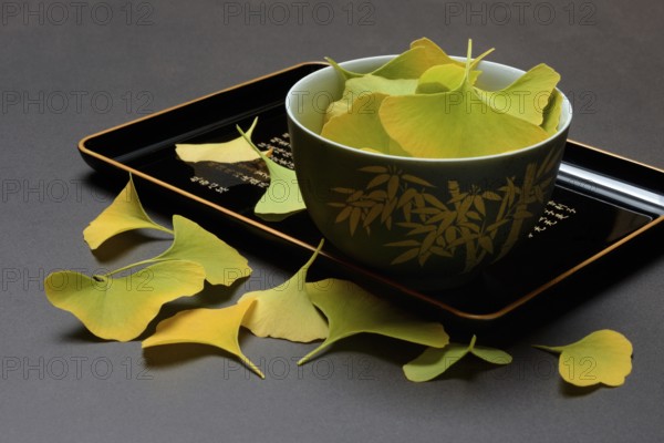 Ginkgo leaves in shell on tray, ginkgo biloba
