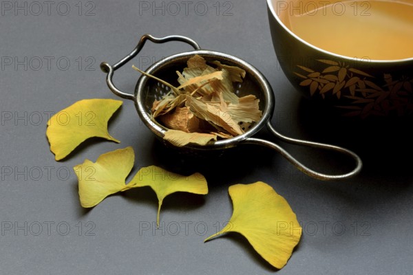 Ginkgo leaves in tea strainer and tea in bowl, ginkgo biloba