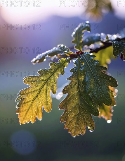 A serene landscape featuring a large tree by a stream at sunset with vibrant green grass and blooming flowers, spring landscape, the oak branch of nature, clear blue sky, idyllic atmosphere with green grass meadow, hills in the calm nature, AI generated
