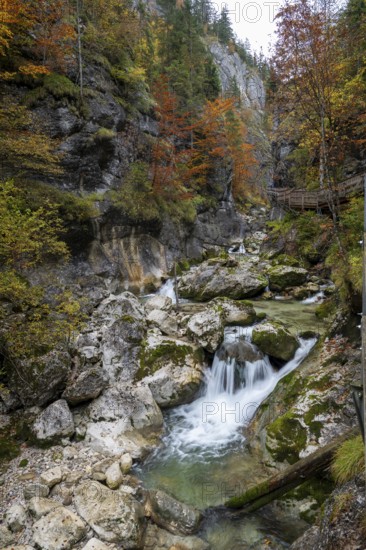 Stream in autumn in the Nothklamm, Gams, Palfau, Hieflau, Styria, Austria