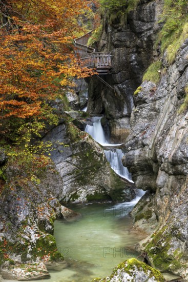Holzsteg in der Nothklamm, autumn, Gams, Palfau, Hieflau, Styria, Austria