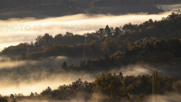 Sunrise, typical landscape in autumn with vineyards and fog, South Styrian hills, South Styrian wine route, Styria, Austria