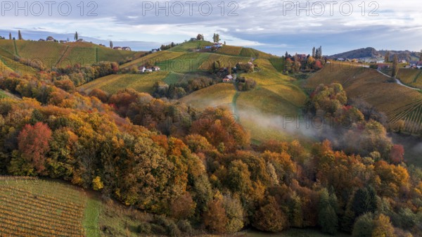 Aerial view, typical landscape in autumn with vineyards, South Styrian hills, South Styrian wine route, Styria, Austria