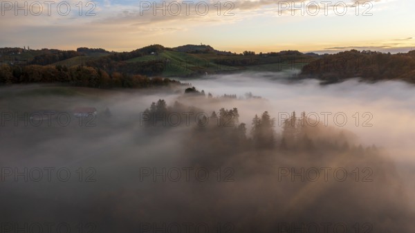 Aerial view, sunrise, typical landscape in autumn with vineyards, South Styrian hills, South Styrian wine route, Styria, Austria