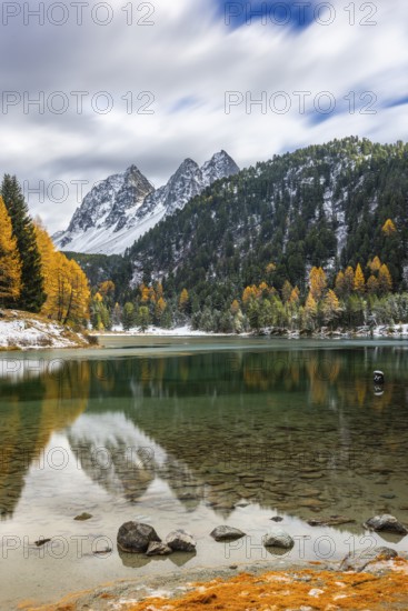 Lake Palpougna, mountain lake, Piz da la Plais, Tschimels, mixed forest with larches (Larix) in autumn, snow, autumn, Filisur mountain green, Albula Pass, Grisons, Switzerland