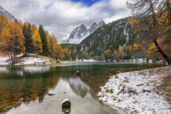 Lake Palpougna, mountain lake, Piz da la Plais, Tschimels, mixed forest with larches (Larix) in autumn, snow, autumn, Filisur mountain green, Albula Pass, Grisons, Switzerland
