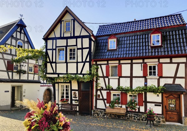 Half-timbered houses in the old town of Erpel, Neuwied district, Rhineland-Palatinate, Lower Middle Rhine, Rhineland, Germany