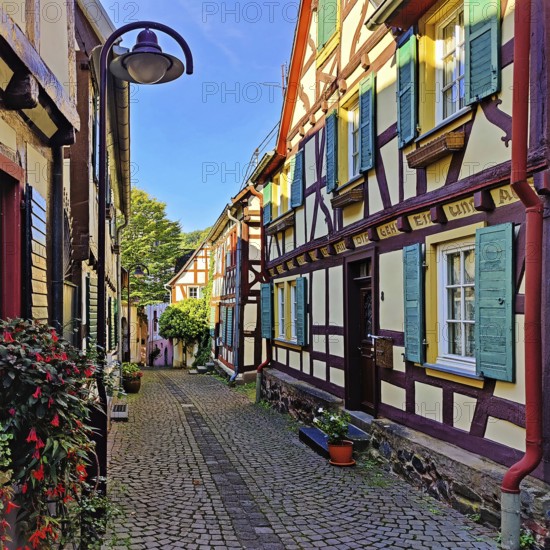 Enge gasse with half-timbered houses in the old town of Unkel, Rotweinstadt, Neuwied district, Rhineland-Palatinate, Lower Middle Rhine, Rhineland, Germany